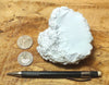 magnesite - white vitreous magnesite - teaching hand specimen