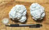 magnesite - white vitreous nodular magnesite - set of nodules