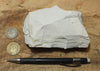 magnesite - teaching hand specimen of light tan porous magnesite - Windous magnesite deposit, Westvaco Mine