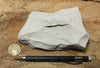magnesite - teaching hand specimen of light tan porous magnesite - Windous magnesite deposit, Westvaco Mine