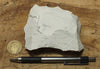 magnesite - teaching hand specimen of light tan porous magnesite - Windous magnesite deposit, Westvaco Mine