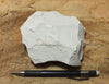 magnesite - hand/display specimen of light tan porous magnesite - Windous magnesite deposit, Westvaco Mine
