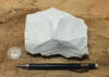 magnesite - hand/display specimen of light tan porous magnesite - Windous magnesite deposit, Westvaco Mine