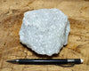 marble - large-grained white marble - teaching hand specimen