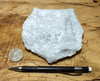 marble - large-grained white marble - hand/display specimen