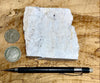 feldspar - teaching hand specimen of pale pink  microcline from the Mountain Beryl Mine, Custer County, SD