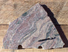 migmatite - a gneiss that has undergone partial melting, from a quarry in India - display specimen