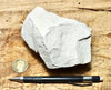 mudstone - teaching hand specimen of diatomaceous mudstone from the Sisquoc Formation, Santa Barbara County, Calif.