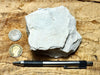 mudstone - teaching hand specimen of diatomaceous mudstone from the Sisquoc Formation, Santa Barbara County, Calif.
