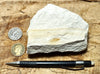 mudstone - teaching hand specimen of diatomaceous mudstone from the Sisquoc Formation, Santa Barbara County, Calif.