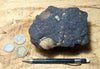 oil sand - Graciosa coarse-grained member of the Careaga sandstone impregnated with oil from the underlying Monterey Formation - display specimen
