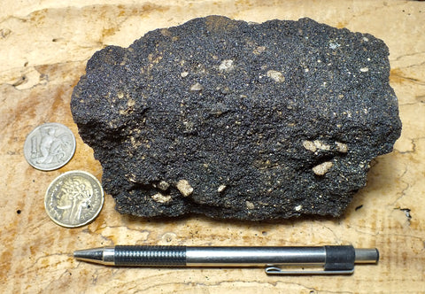 oil sand - Graciosa coarse-grained member of the Careaga sandstone impregnated with oil from the underlying Monterey Formation - hand/display specimen