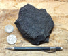 oil sand - Graciosa coarse-grained member of the Careaga sandstone impregnated with oil from the underlying Monterey Formation - hand/display specimen