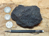 oil sand - Graciosa coarse-grained member of the Careaga sandstone impregnated with oil from the underlying Monterey Formation - hand/display specimen