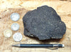 oil sand - Graciosa coarse-grained member of the Careaga sandstone impregnated with oil from the underlying Monterey Formation - hand/display specimen