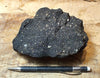 oil sand - Graciosa coarse-grained member of the Careaga sandstone impregnated with oil from the underlying Monterey Formation - hand/display specimen
