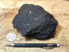 oil sand - Graciosa coarse-grained member of the Careaga sandstone impregnated with oil from the underlying Monterey Formation - hand/display specimen