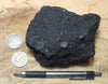 oil sand - Graciosa coarse-grained member of the Careaga sandstone impregnated with oil from the underlying Monterey Formation - hand/display specimen