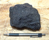 oil sand - Graciosa coarse-grained member of the Careaga sandstone impregnated with oil from the underlying Monterey Formation - hand/display specimen