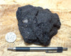 oil sand - Graciosa coarse-grained member of the Careaga sandstone impregnated with oil from the underlying Monterey Formation - hand/display specimen