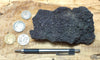 oil sand - Graciosa coarse-grained member of the Careaga sandstone impregnated with oil from the underlying Monterey Formation - hand/display specimen