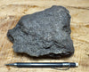 oil sand - Edna Member of the Mio-pliocene Pismo Formation impregnated with oil - display specimen