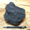 oil sand - Graciosa coarse-grained member of the Careaga sandstone impregnated with oil from the underlying Monterey Formation - large hand/display specimen