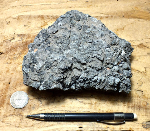 limestone - oncolitic limestone showing typical dissolved surface found in arid climates - Lower Cambrian Chambless Limestone, Marble Mountains, Calif. - large hand/display specimen