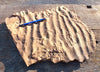 oscillation ripple marks in siltstone from the Moenkopi Formation - large display specimen