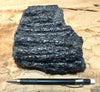 Pahoehoe - large hand/display specimen of ropy lava from the 1990 East Rift Zone eruption of Kilauea