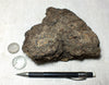 peat - hand specimen of peat from the San Andreas fault zone, formed in a marsh that dried out roughly a century ago