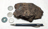 peat - hand specimen of peat from the San Andreas fault zone, formed in a marsh that dried out roughly a century ago