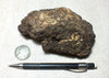 peat - hand specimen of peat from the San Andreas fault zone, formed in a marsh that dried out roughly a century ago