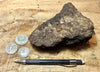 peat - hand specimen of peat from the San Andreas fault zone, formed in a marsh that dried out roughly a century ago