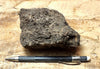 peat - hand specimen of peat from the San Andreas fault zone, formed in a marsh that dried out roughly a century ago