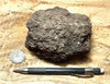 peat - hand specimen of peat from the San Andreas fault zone, formed in a marsh that dried out roughly a century ago