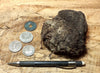 peat - hand specimen of peat from the San Andreas fault zone, formed in a marsh that dried out roughly a century ago