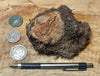 peat - hand specimen of peat from the San Andreas fault zone, formed in a marsh that dried out roughly a century ago - Geological Specimen Supply