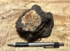 peat - hand specimen of peat from the San Andreas fault zone, formed in a marsh that dried out roughly a century ago
