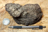 peat - hand specimen of peat from the San Andreas fault zone, formed in a marsh that dried out roughly a century ago - Geological Specimen Supply