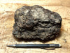 peat - hand/display specimen of peat from the San Andreas fault zone, formed in a marsh that dried out roughly a century ago