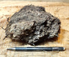 peat - hand/display specimen of peat from the San Andreas fault zone, formed in a marsh that dried out roughly a century ago - Geological Specimen Supply