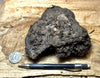 peat - hand/display specimen of peat from the San Andreas fault zone, formed in a marsh that dried out roughly a century ago