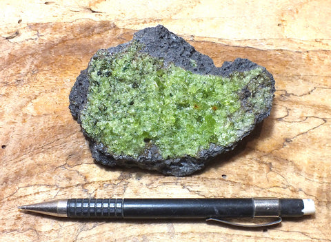 peridotite xenolith in vesicular phonotephrite from the San Carlos Volcanic Field, Arizona - teaching hand specimen