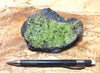 peridotite xenolith in vesicular phonotephrite from the San Carlos Volcanic Field, Arizona - teaching hand specimen