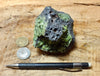 peridotite xenolith in vesicular phonotephrite from the San Carlos Volcanic Field, Arizona - teaching hand/display specimen