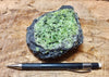 peridotite xenolith in vesicular phonotephrite from the San Carlos Volcanic Field, Arizona - teaching hand/display specimen