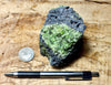 peridotite xenolith in vesicular phonotephrite from the San Carlos Volcanic Field, Arizona - teaching hand/display specimen