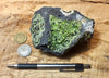 peridotite xenolith in vesicular phonotephrite from the San Carlos Volcanic Field, Arizona - teaching hand/display specimen