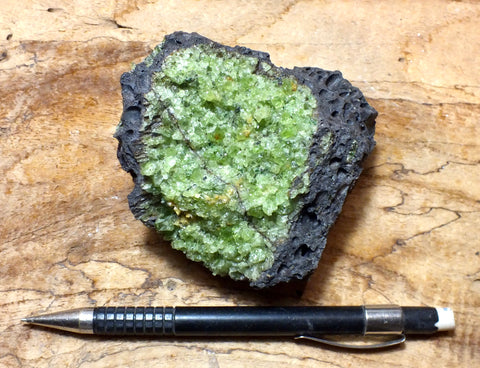 peridotite xenolith in vesicular phonotephrite from the San Carlos Volcanic Field, Arizona - large hand/display specimen